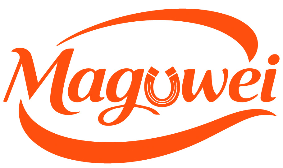 magway tech logo